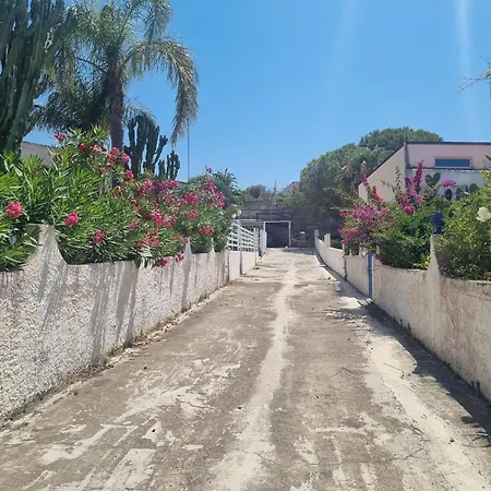 Omarvulcano1 - Proppro Srl - Isole Eolie *